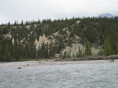 IMG_1446.JPG
