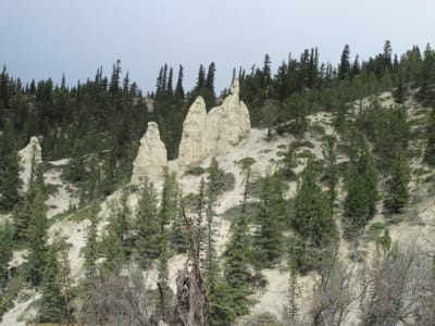 IMG_1449.JPG