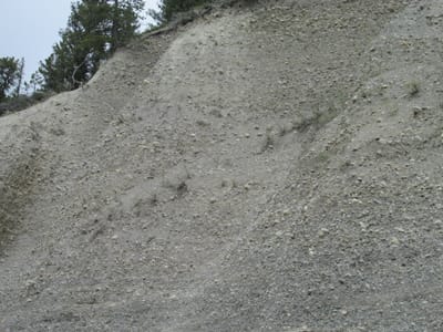 IMG_1455.JPG