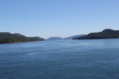 IMG_2733.JPG
