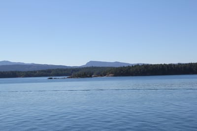 IMG_2737.JPG