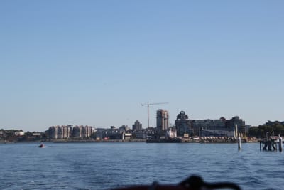 IMG_2756.JPG