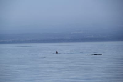 IMG_2758.JPG