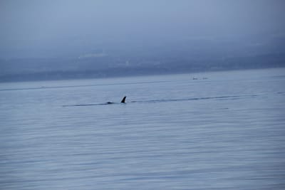 IMG_2759.JPG