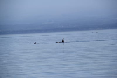 IMG_2760.JPG