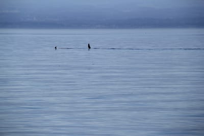 IMG_2761.JPG