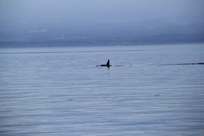 IMG_2762.JPG
