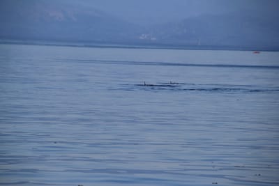 IMG_2764.JPG