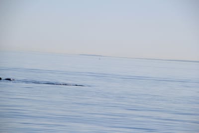 IMG_2767.JPG