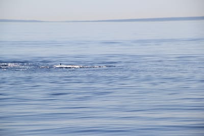 IMG_2771.JPG