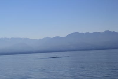 IMG_2772.JPG
