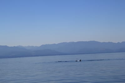 IMG_2776.JPG