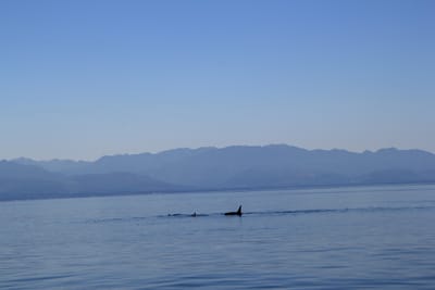 IMG_2777.JPG