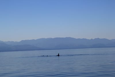 IMG_2778.JPG