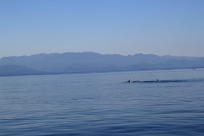 IMG_2779.JPG