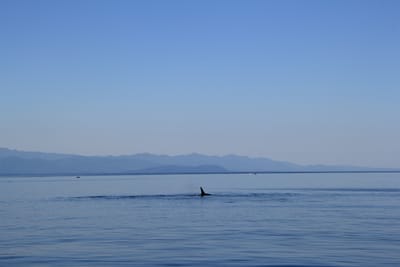 IMG_2780.JPG