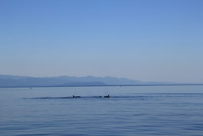 IMG_2781.JPG