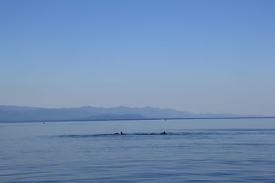 IMG_2782.JPG