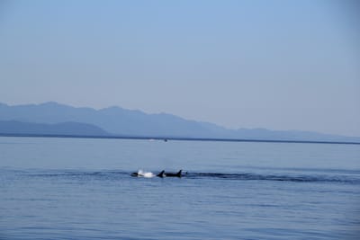 IMG_2783.JPG