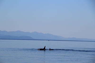 IMG_2784.JPG