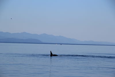 IMG_2785.JPG