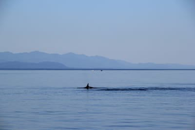 IMG_2786.JPG