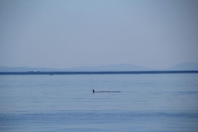 IMG_2787.JPG