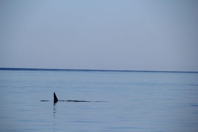 IMG_2788.JPG