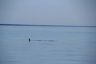 IMG_2789.JPG