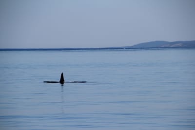 IMG_2790.JPG
