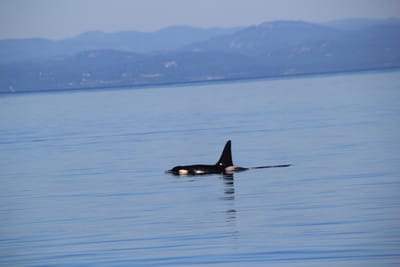 IMG_2791.JPG