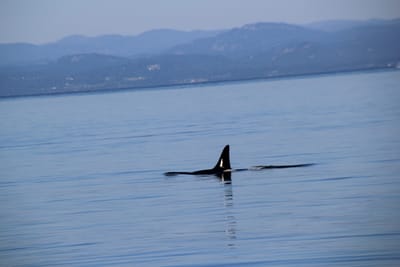 IMG_2792.JPG