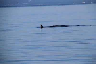 IMG_2793.JPG