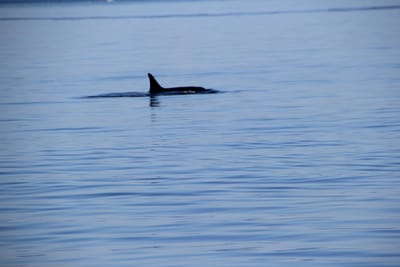 IMG_2794.JPG