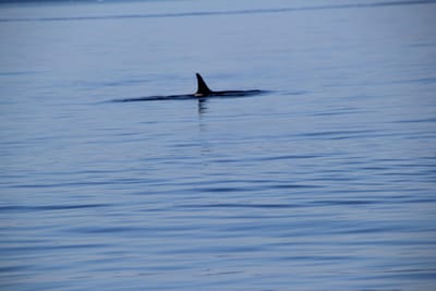 IMG_2795.JPG