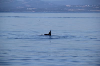 IMG_2796.JPG