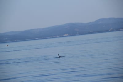 IMG_2798.JPG