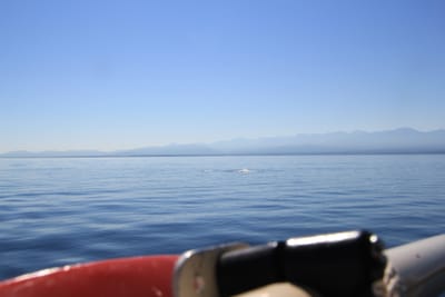 IMG_2801.JPG