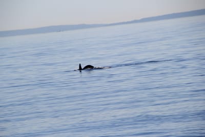 IMG_2809.JPG