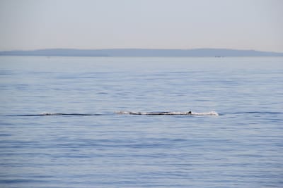 IMG_2811.JPG