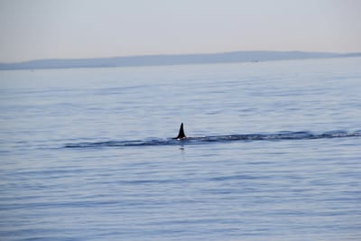 IMG_2813.JPG