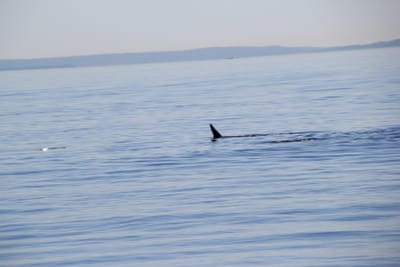 IMG_2816.JPG