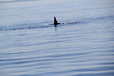IMG_2818.JPG