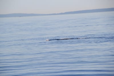 IMG_2821.JPG
