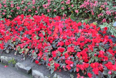 IMG_2834.JPG