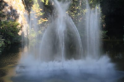 IMG_2848.JPG