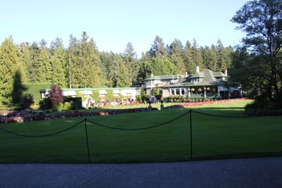 IMG_2850.JPG