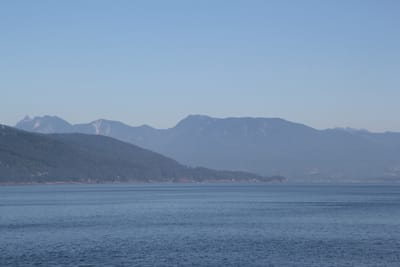 IMG_2890.JPG