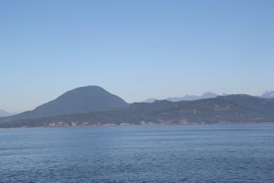 IMG_2893.JPG