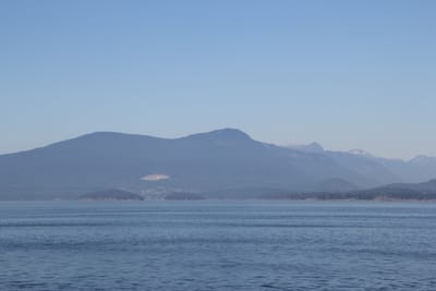 IMG_2894.JPG